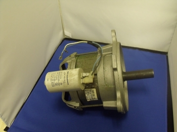 Electric motor